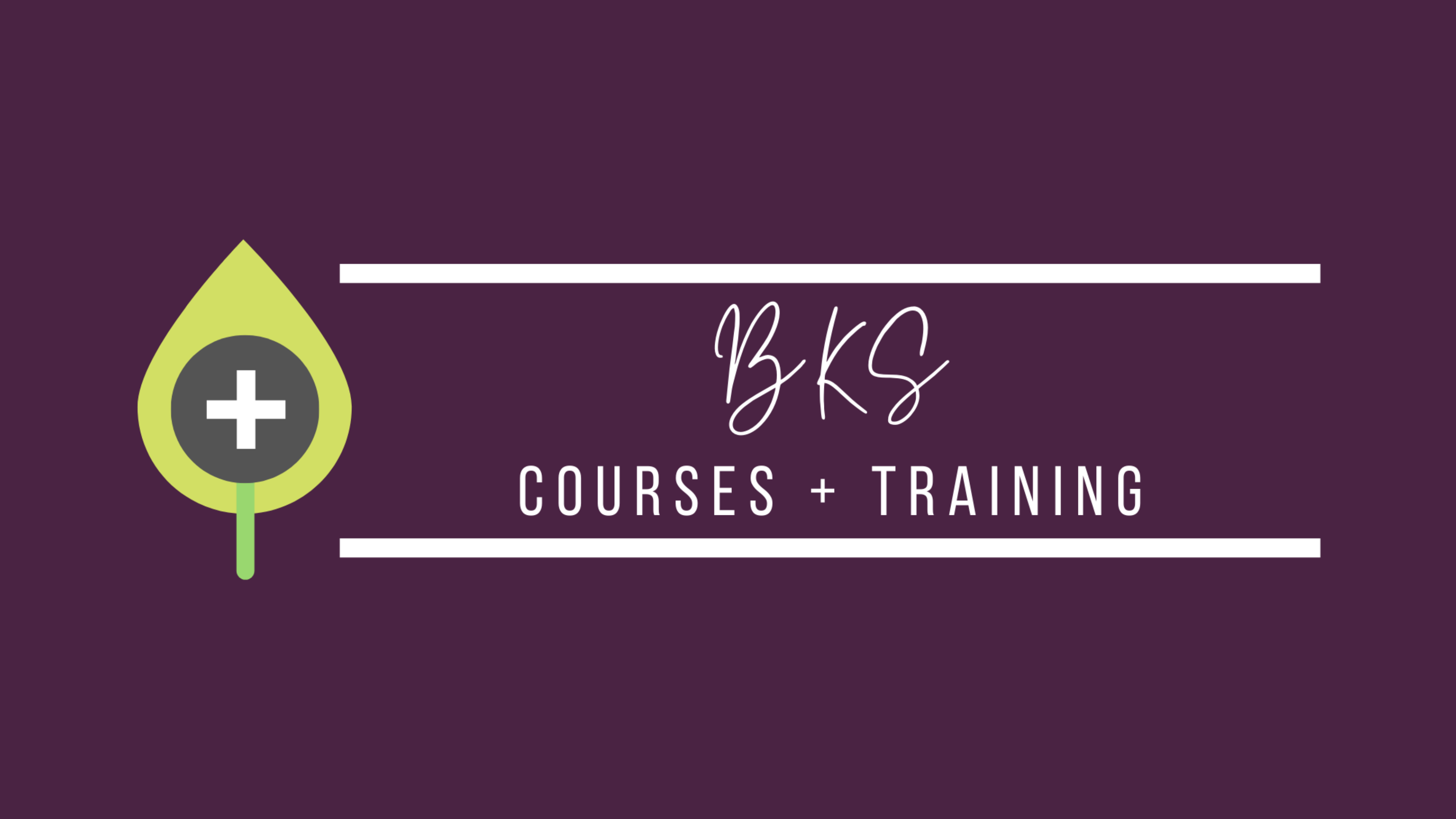ND Refresher IV Chelation BKS Courses for NDs