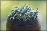 Imperial Grade Fujian Silver Needle from Whispering Pines Tea Company