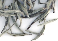 China Yin Zhen Silver Needles from TeaGschwendner