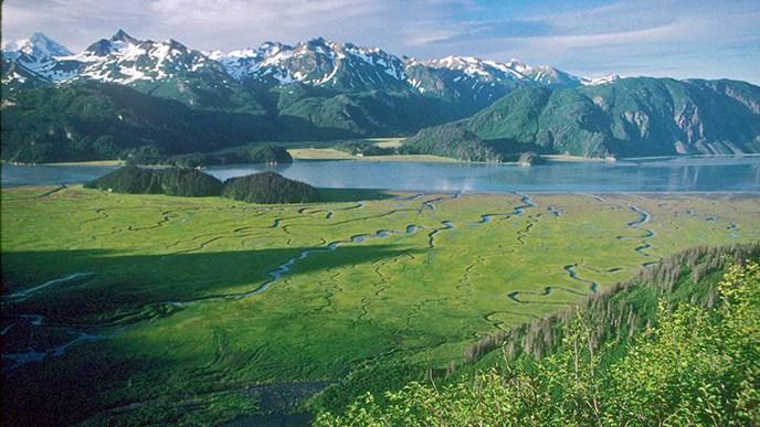 Alaska Brown Bear Viewing by Helicopter photo 2