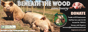 Beneath The Wood Sanctuary logo