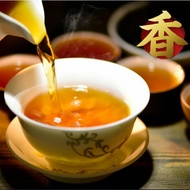Qu Jiang Flakes Coin-shaped China Hu Nan Anhua Hei Cha Mini Dark Tea Cake from Dragon Tea House