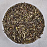 Singell 2014 First Flush Darjeeling from Golden Tips