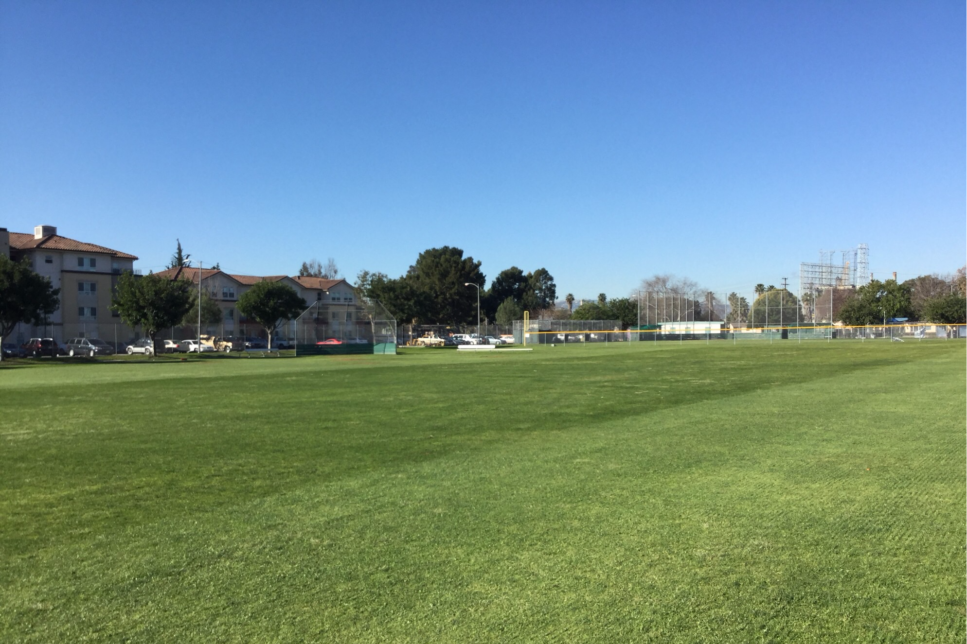 Field - C