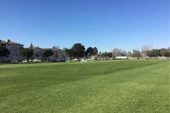 Field - C