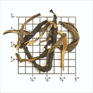 China Coungou Golden Monkey Pekoe (ZK57) from Upton Tea Imports