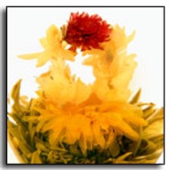 Jasmine Fusion Blooming Tea from The Exotic Teapot