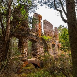 Lost Industries of the Pines