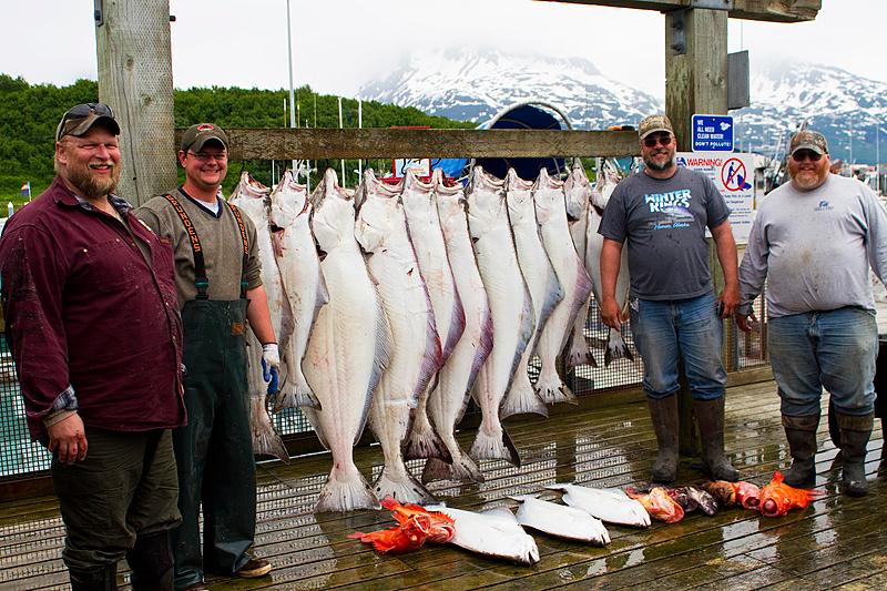 21' Hard Top Halibut/Salmon Boat Rental - VO1 (200hp) photo 1