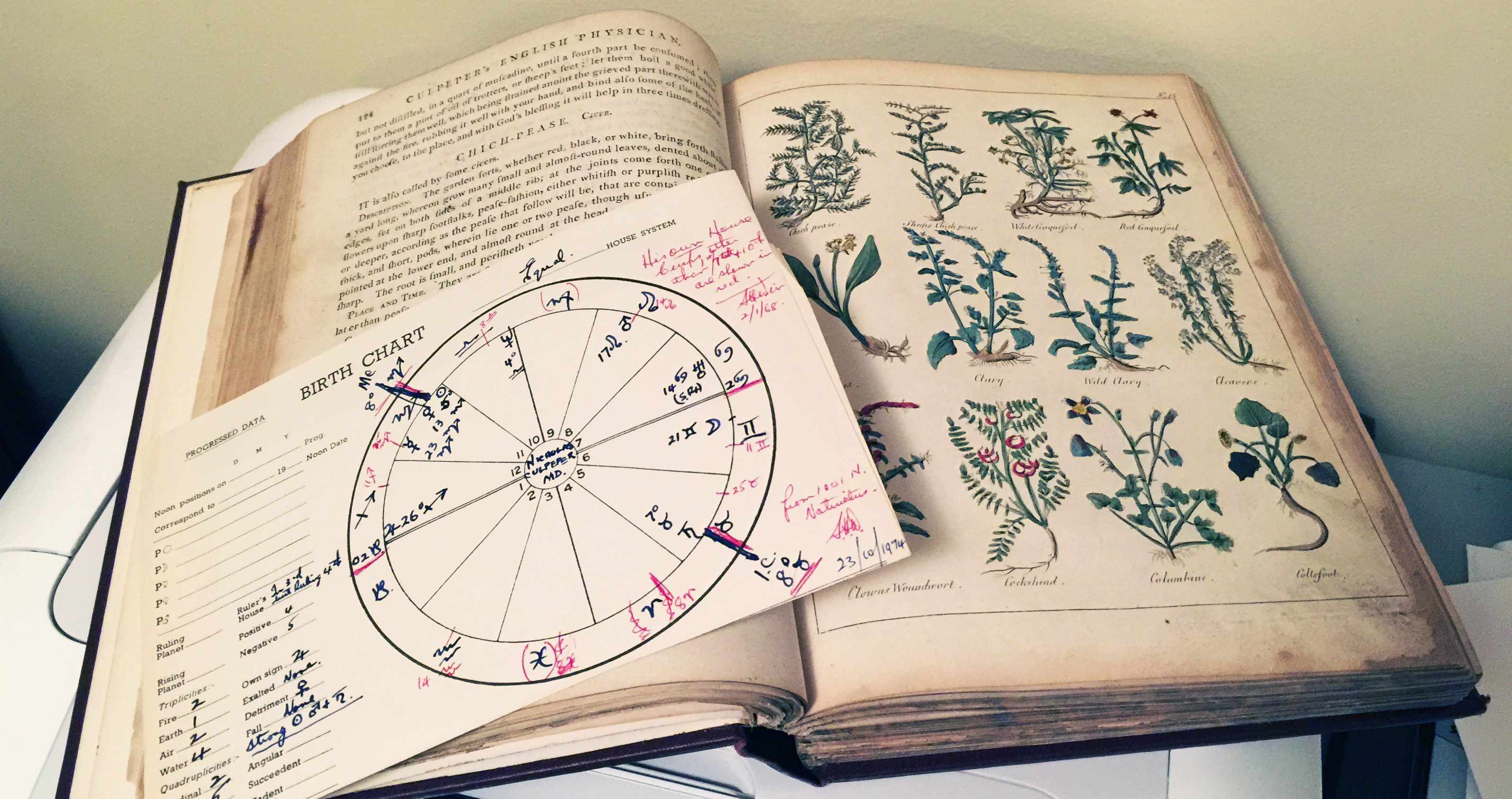 Culpeper's Birth Chart and a 17th century copy of his 'Herbal' ~ a book that is still in print today!