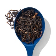 Nepal Black (Organic) from DAVIDsTEA