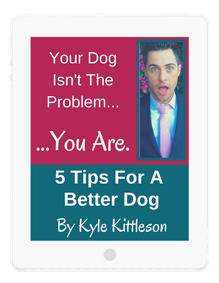 My Dog Doesn't Like Toys (Here's why!) - Kyle Kittleson