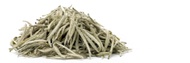 Organic Silver Needle White Tea from Teavivre