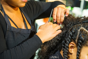 Lady Braiding Hair in a Hair Salon