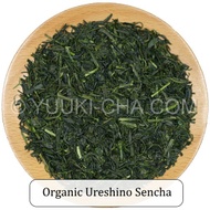 Organic Kagoshima Sencha Shimofuri Masashige from Yuuki-cha
