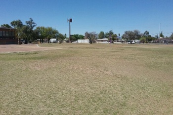 Fields