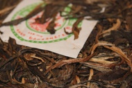 Artisan Revival Banzhang '06 Sheng Pu'er from Verdant Tea
