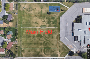 Main Field