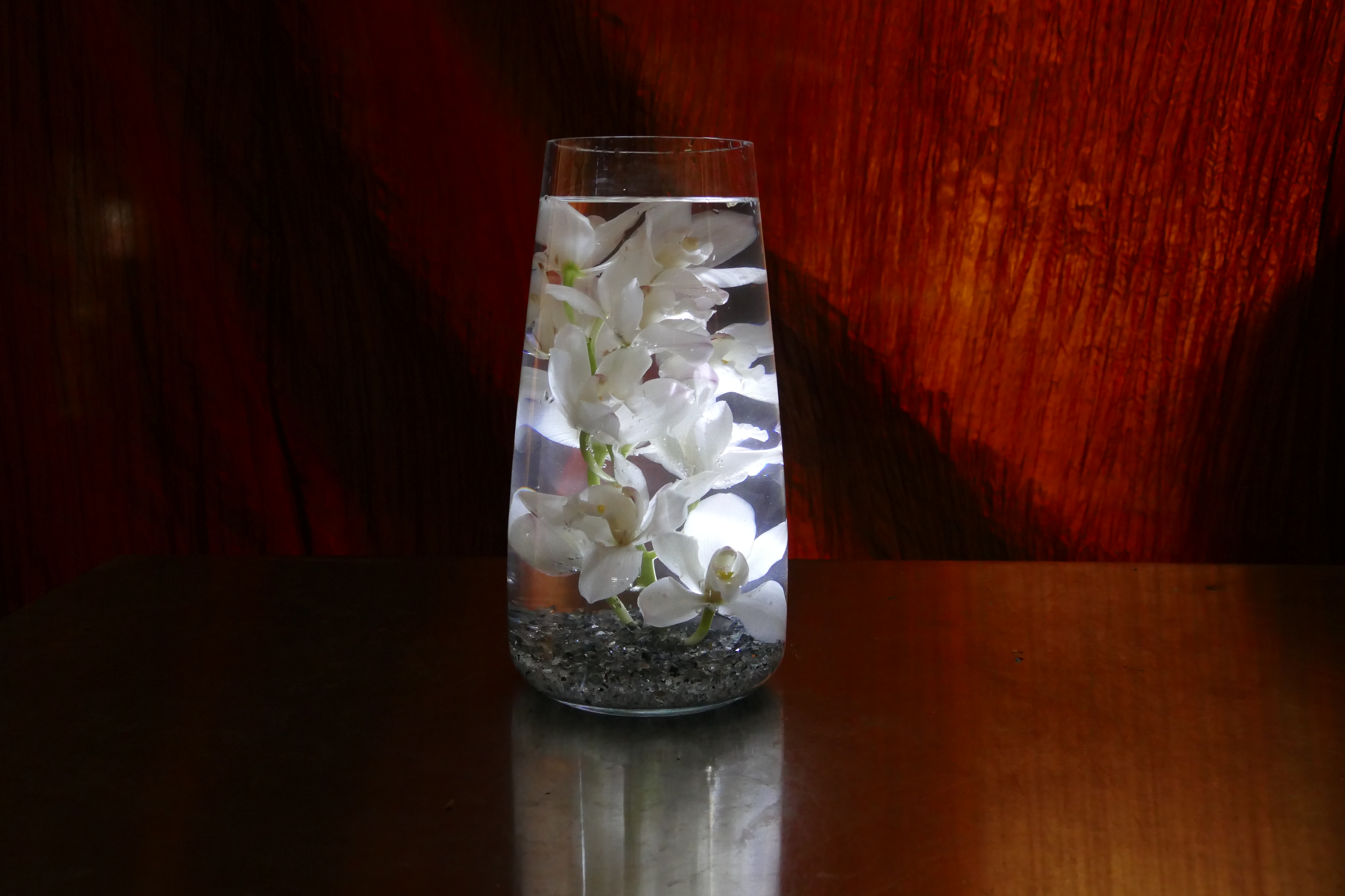 Underwater Flowers