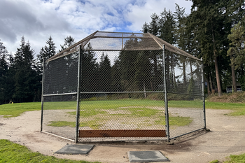 Baseball Field Grass