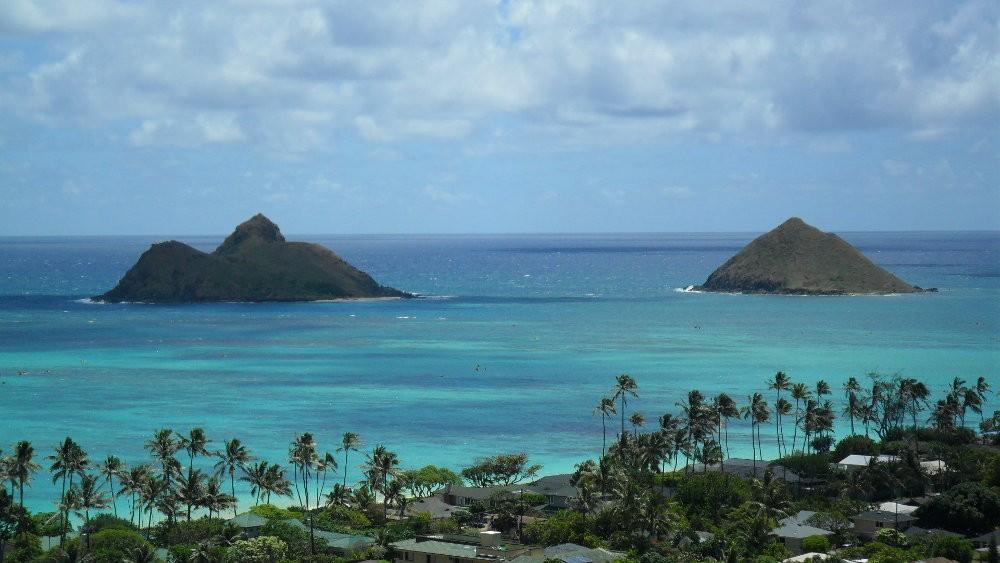 Hidden Gems of Oahu with Byodo In and Turtle Spotting photo 1