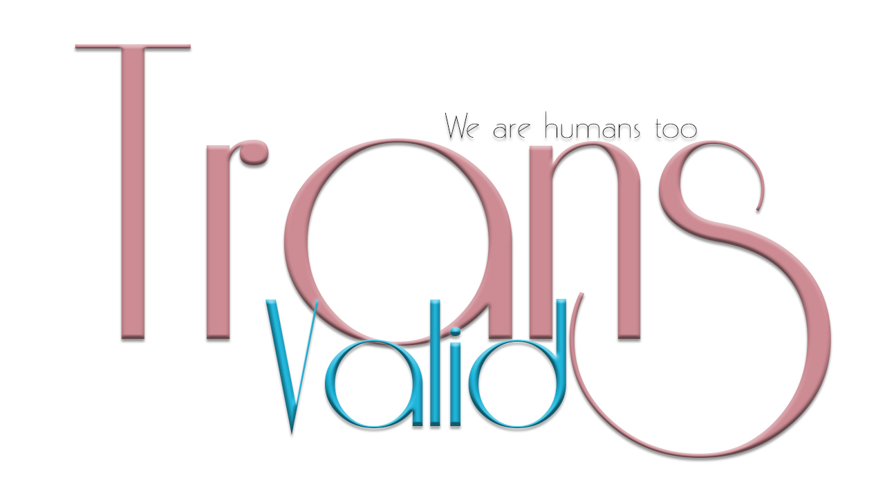 TransValid Organisation logo