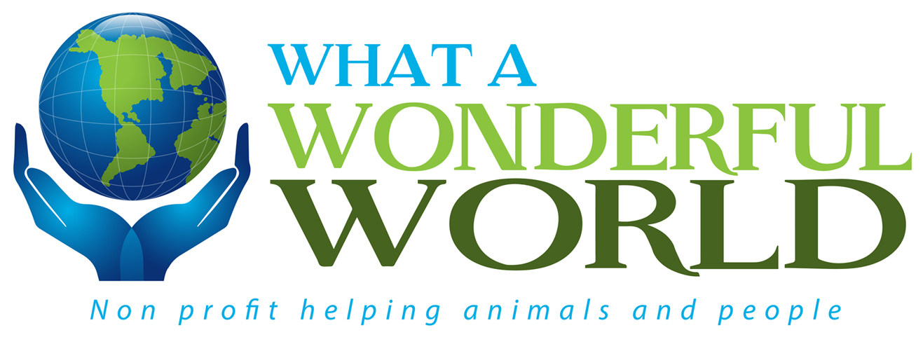 What A Wonderful World logo