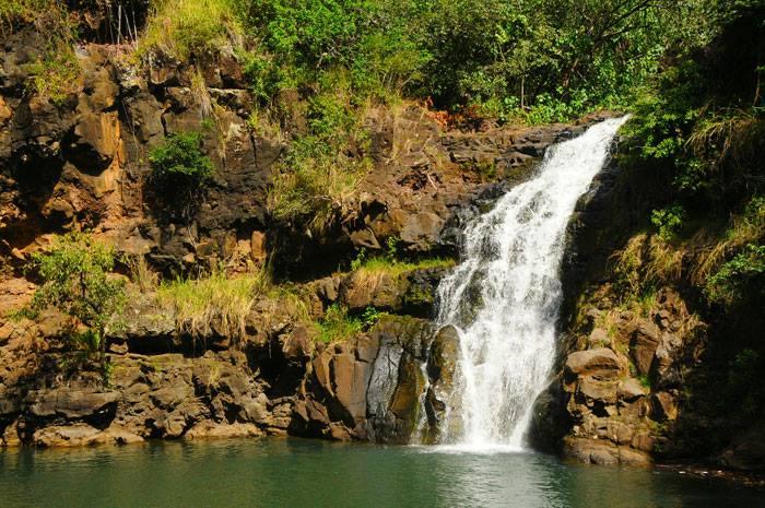 Majestic Circle Island Tour from Waikiki, Honolulu - Honolulu