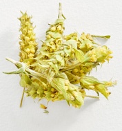 Greek Mountain Tea (Mount Olympus) from Klio Tea