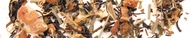 Treasures of the Inca from Urbàna Teas & Tonics