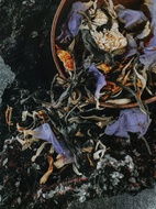 Scorpio from Artemis Tea & Botanical
