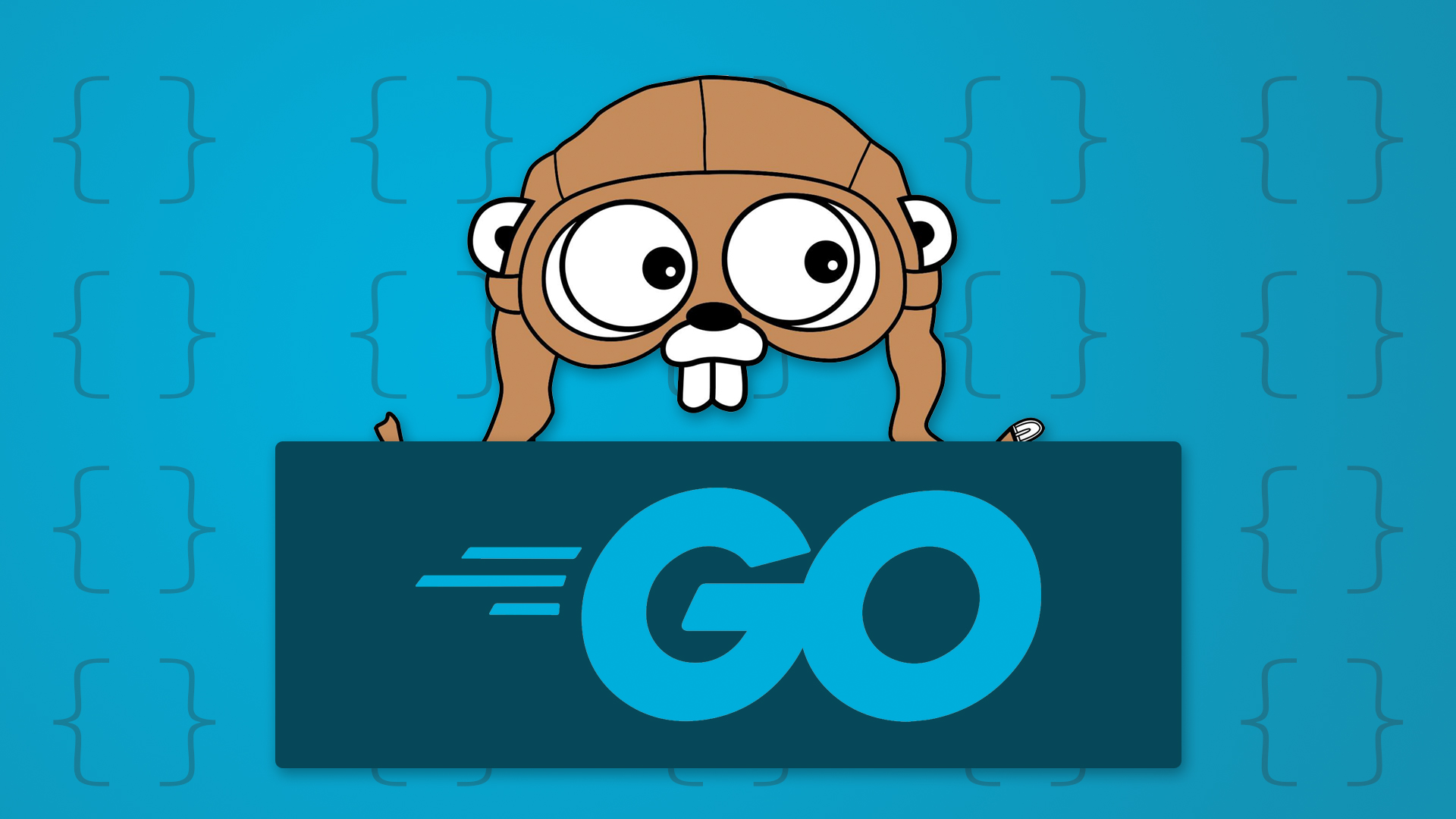 short assignment golang