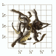 Namring Upper Estate Darjeeling from Upton Tea Imports