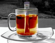 teastir from Teastir