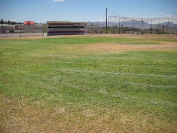 Playfield