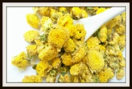 Wild Thai Chrysanthemum from BaanChaUK