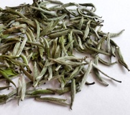 2015 Bai Hao Yin Zhen (Silver Needle) from ZhenTea