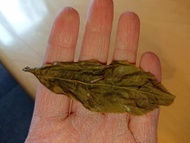 2016 Yunnan Sourcing "Han Gu Di" Old Arbor Raw Pu'er from Yunnan Sourcing