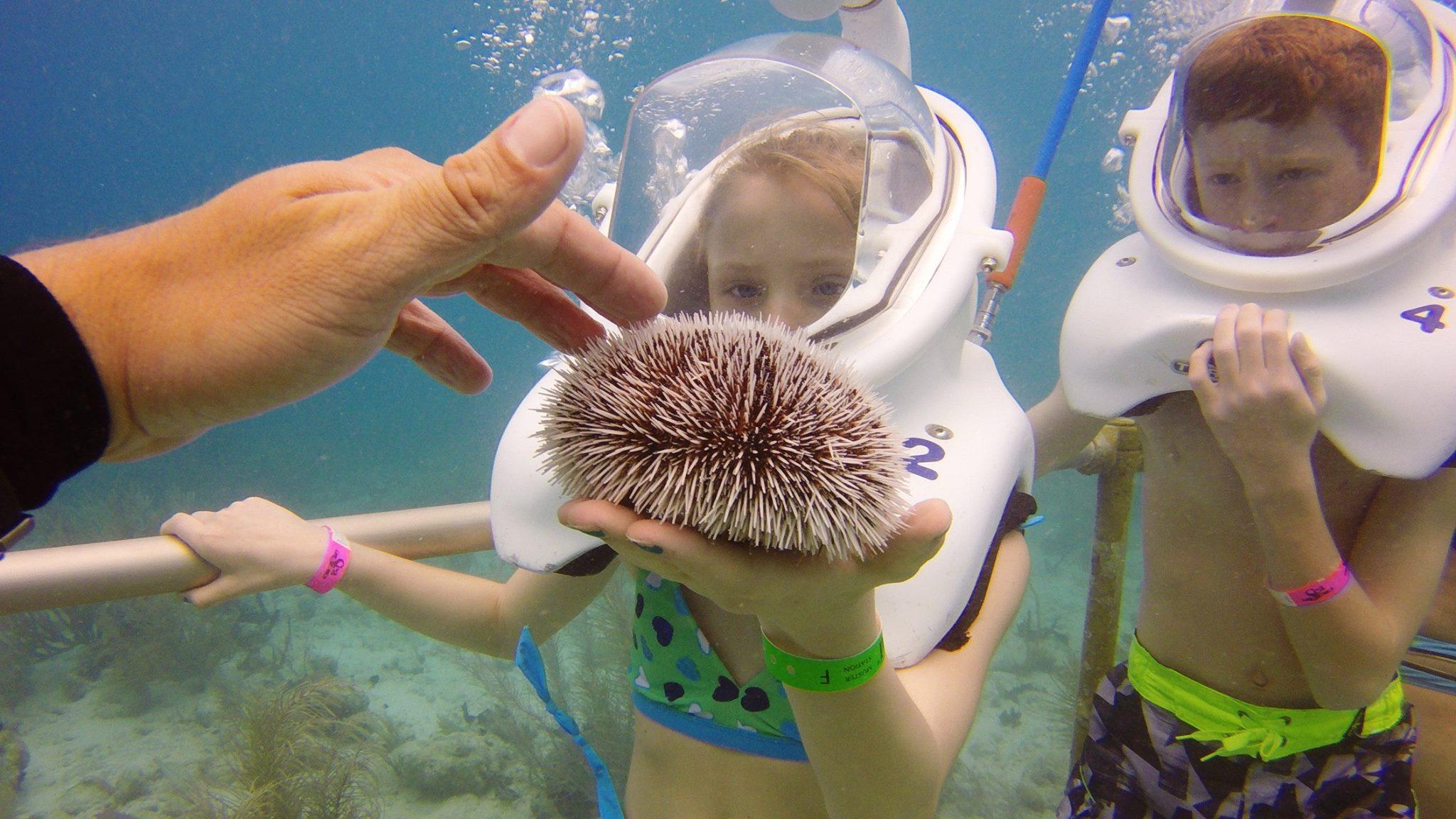 Sea Trek Adventure at Coki Point, St. Thomas - Charlotte Amalie