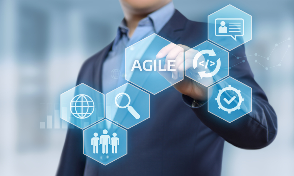Product image for Agile Auditing: Best Practices for an EASY Transition
