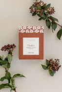 Marfa - Dark Roast from CatSpring Yaupon