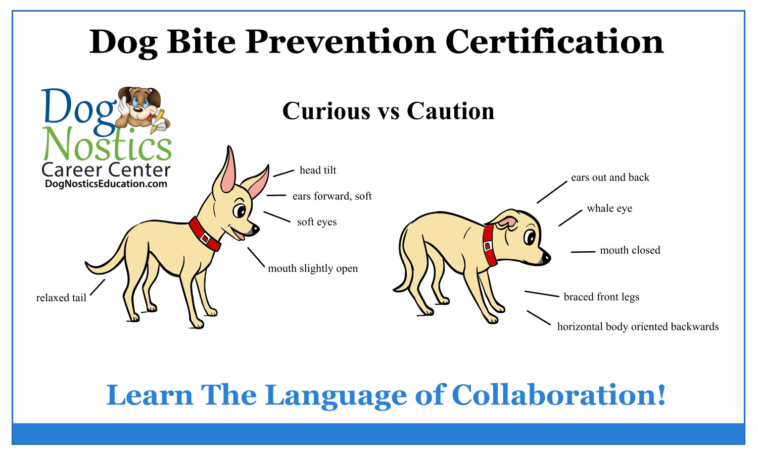 Dog Bite Prevention Educator DogNostics Career Center