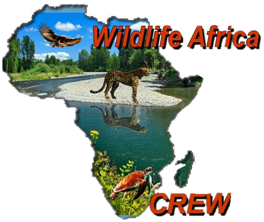 Wildlife Africa Conservative Initiative logo