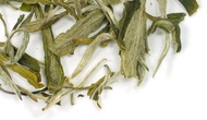 Snowbud from Adagio Teas - Discontinued