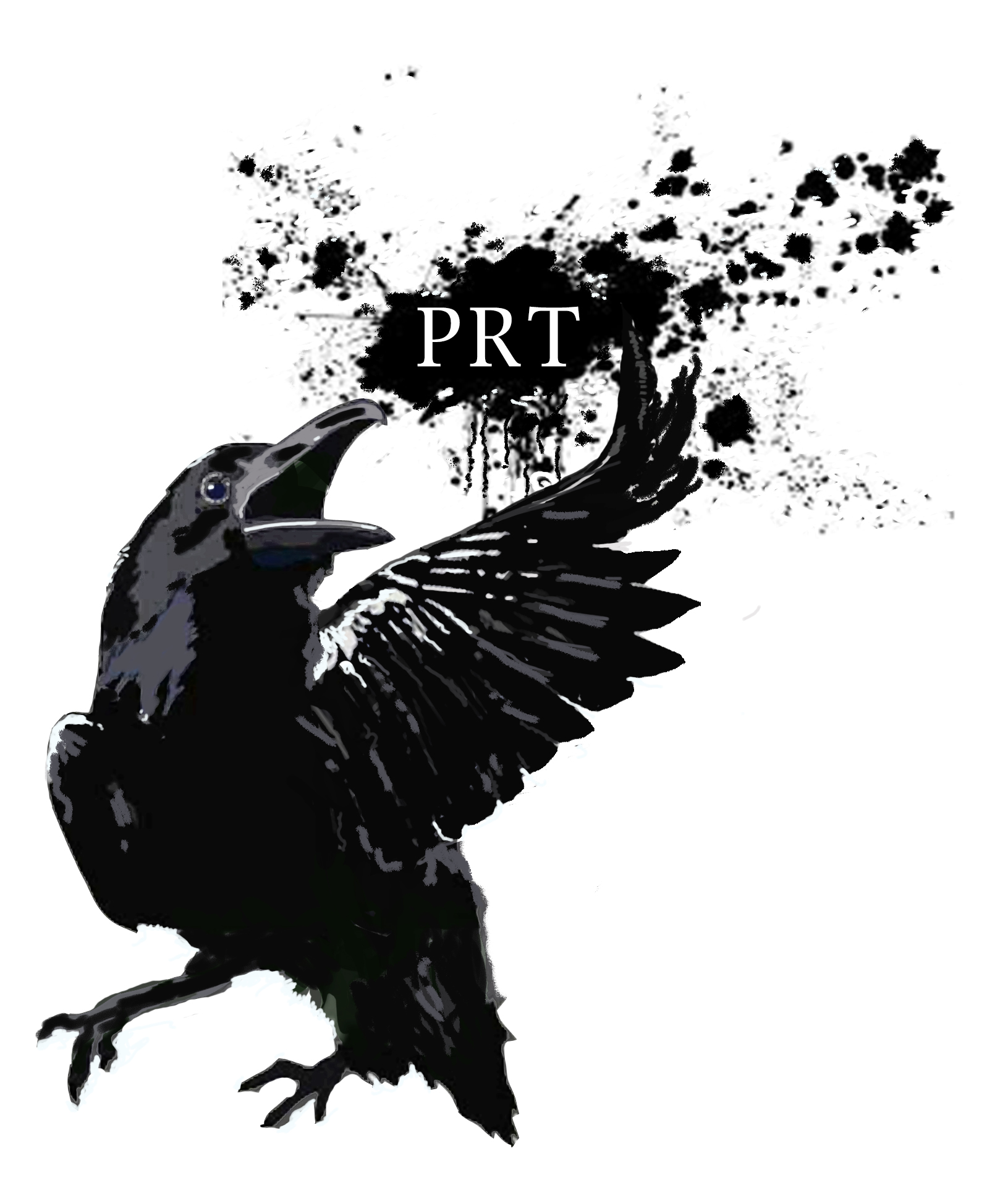 Patagonia Regional Times logo