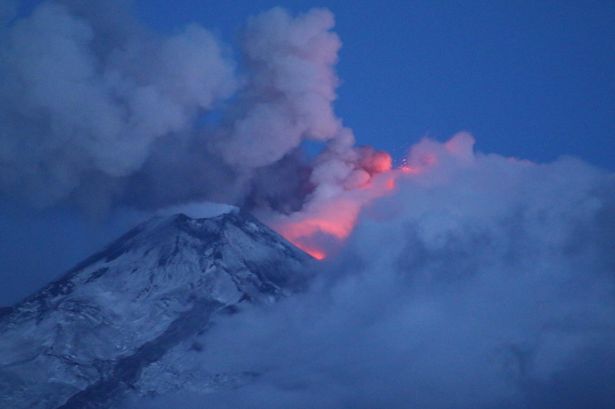 The Valanga di Vita, Inc. logo