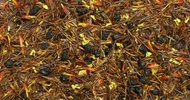 Santa's Little Helper from Shanti Tea