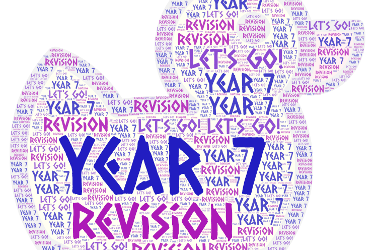 Year 7 (Moy) Revision Leader Board