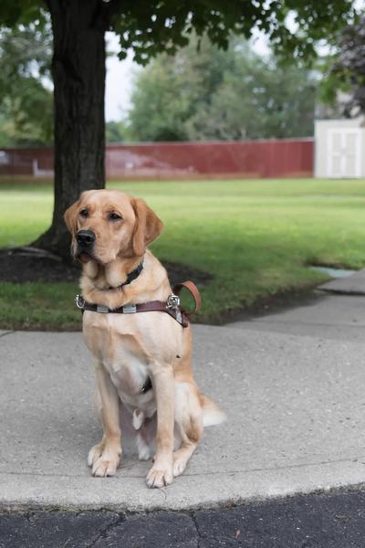 guide dog foundation umd