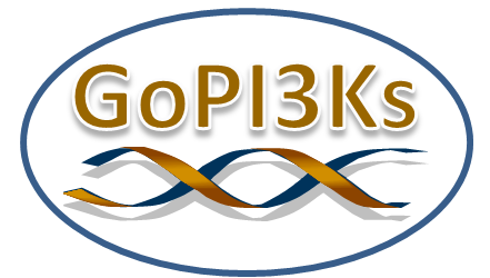 Gopi3ks logo